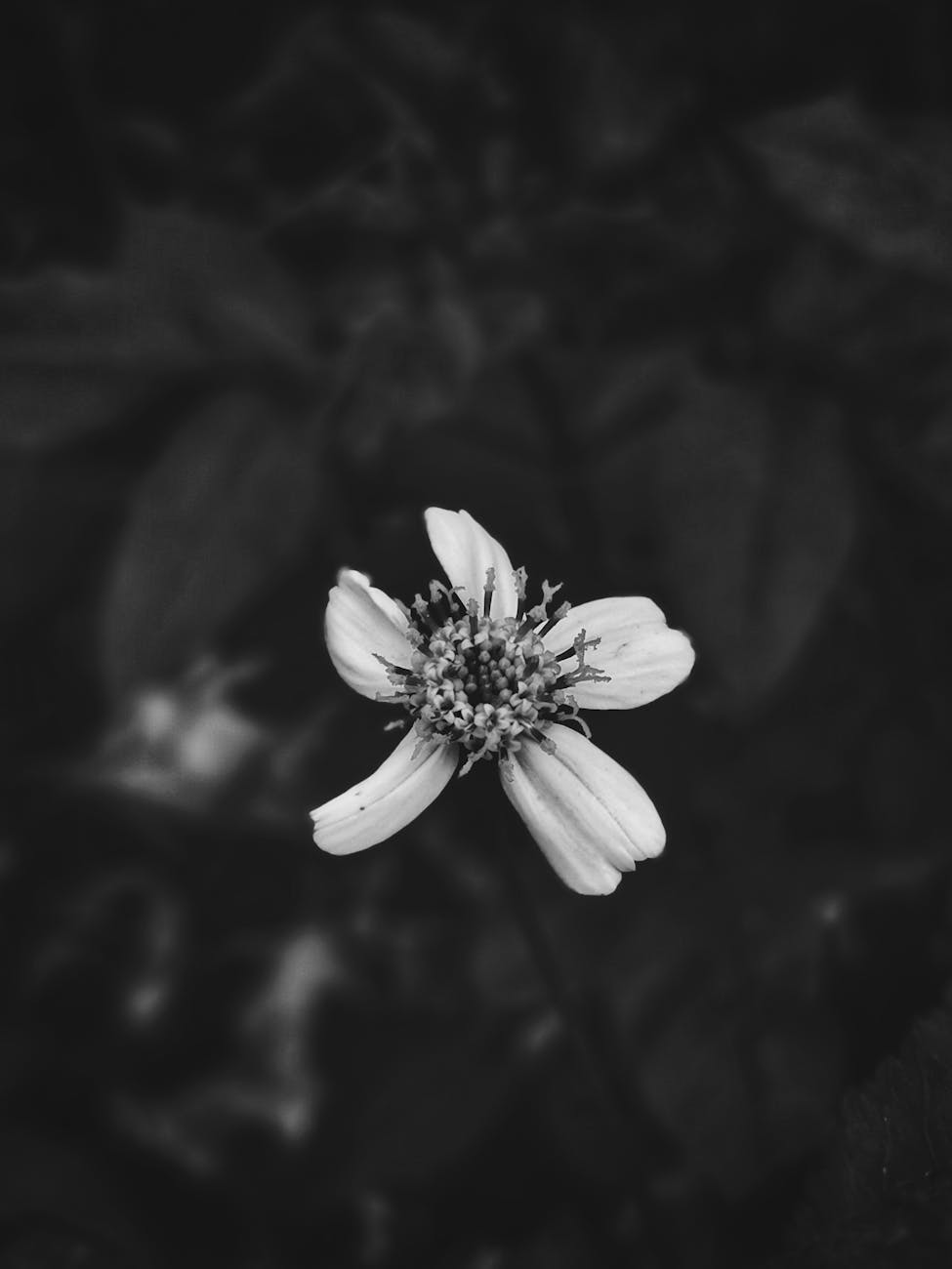 Reframing Flaws as Unique Strengths