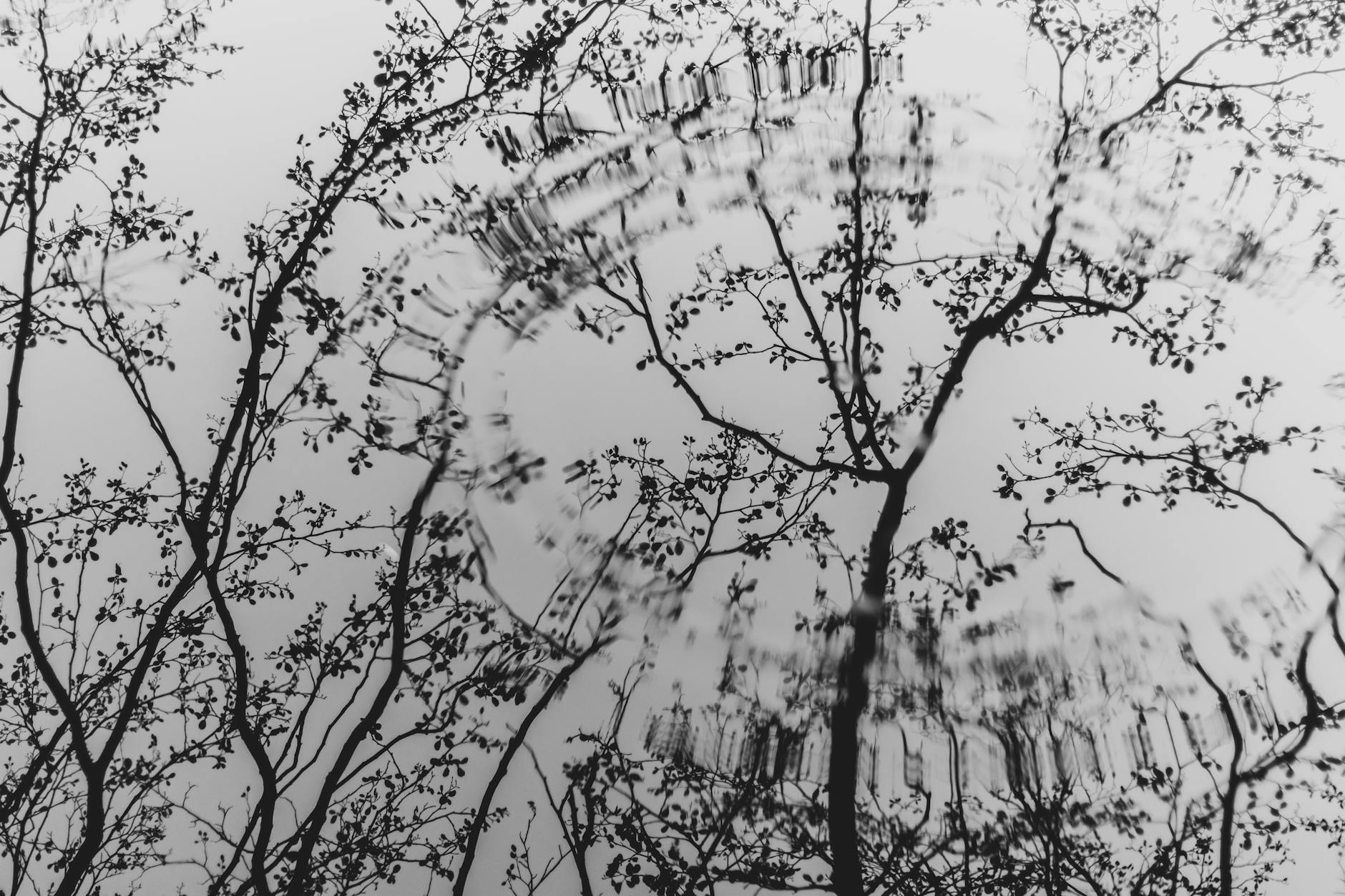 Why Taking Time to Process Emotions Matters