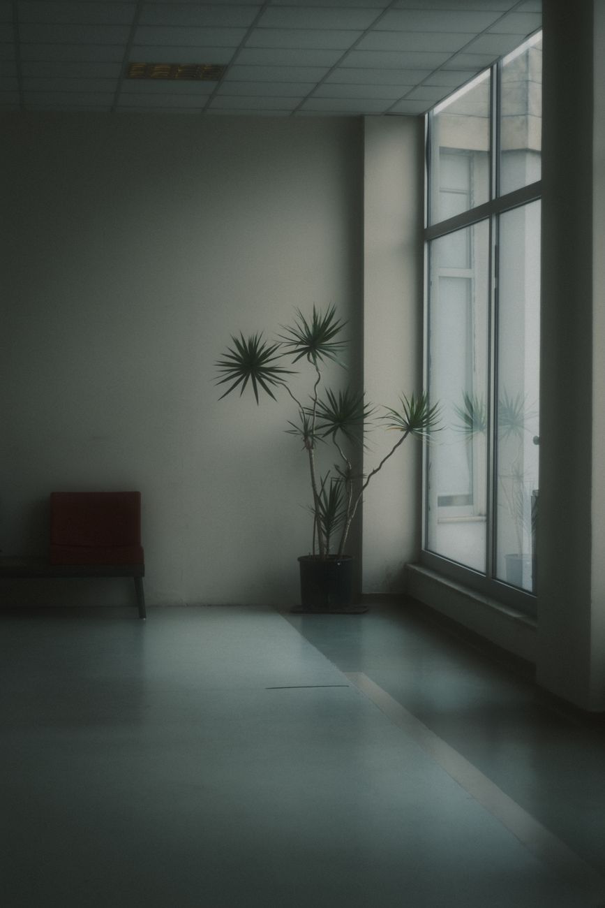 The Invisible Waiting Rooms of Life