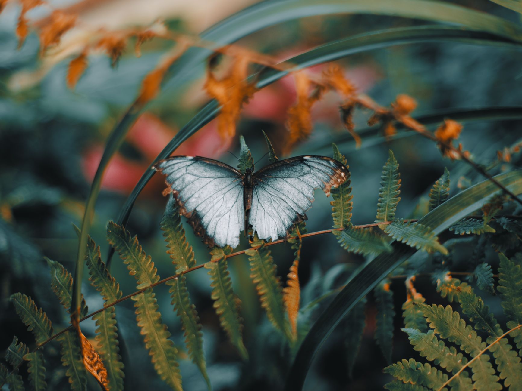 Learning to Say Yes to Myself and My Life