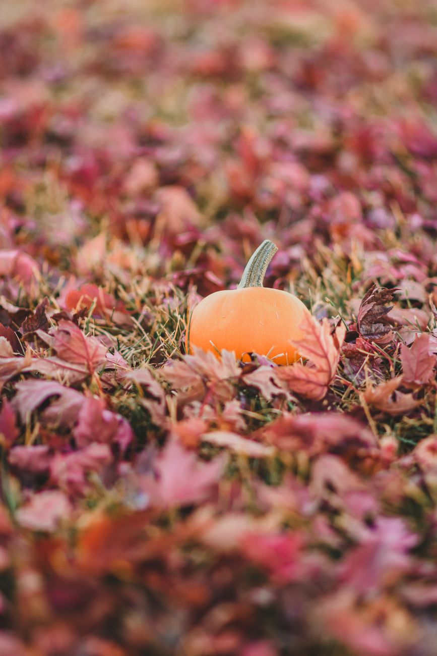 What I Love About October: Baseball, Halloween & the Little Things
